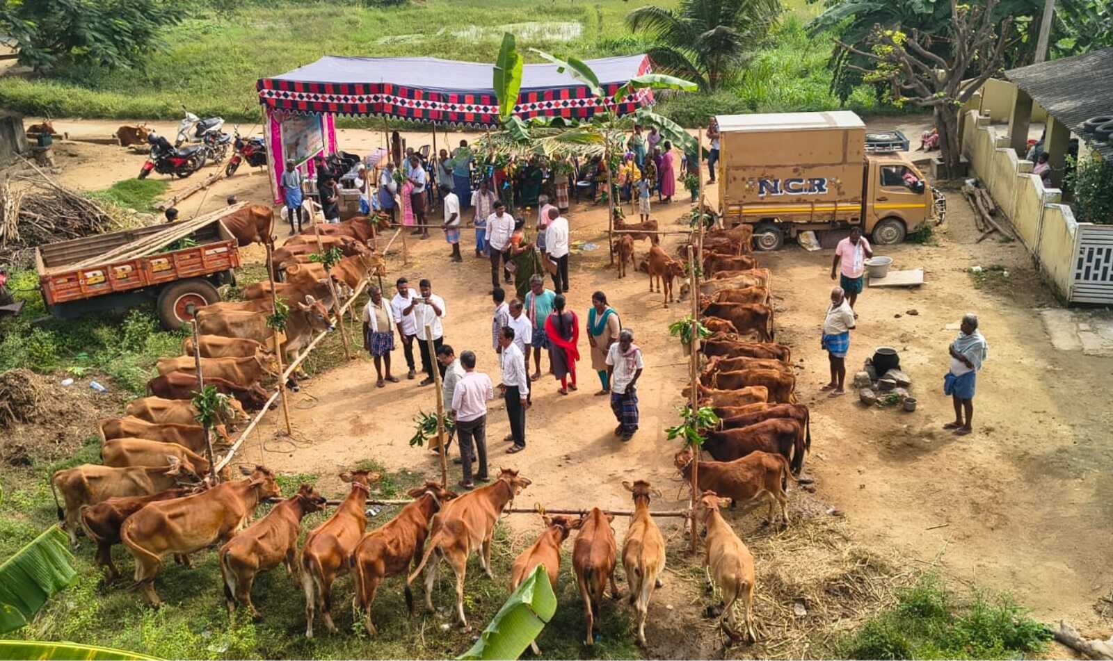 Progeny Testing Programme